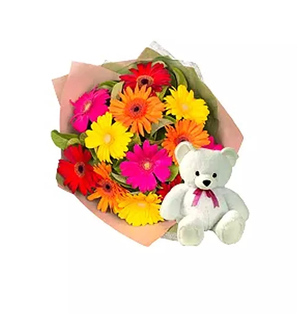 Exquisite 12 Gerberas Bouquet with 8” Teddy Bear