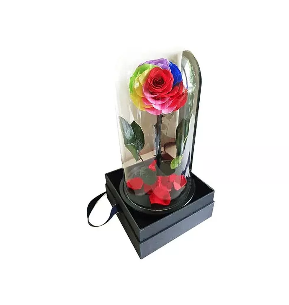 Eternal Rainbow Petals Rose in Glass Container