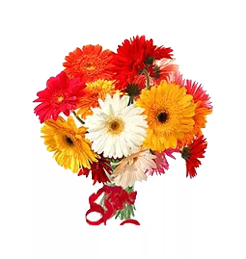 Mesmerizing 12 Gerberas Bouquet with Style