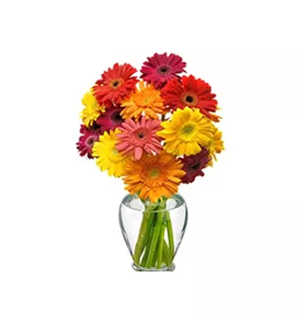 Blossoming Feel of Love 12 Gerbera Basket/Vase