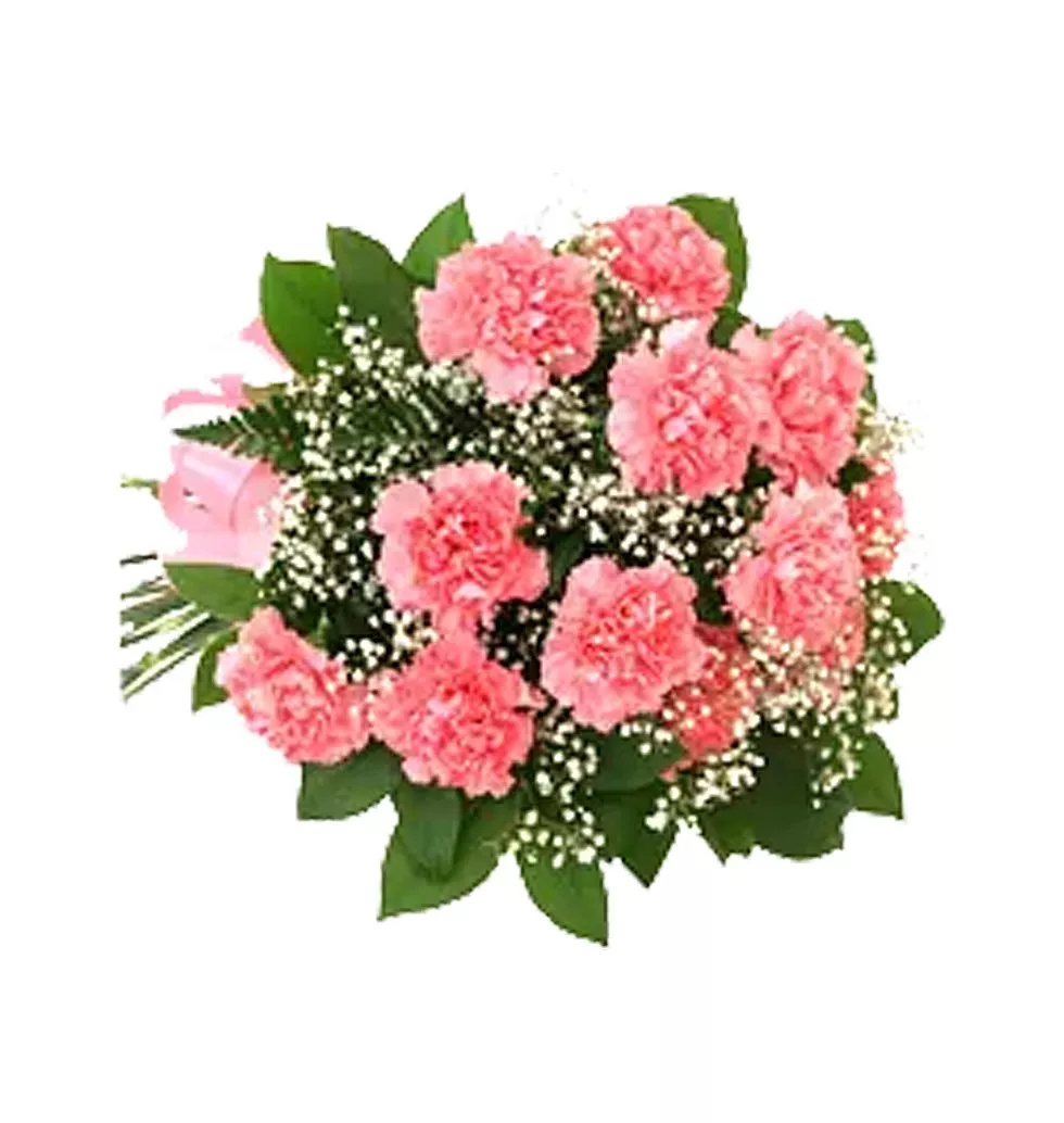 Seasons of Love 12 Carnations Bouquet